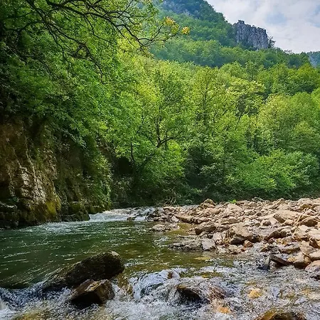 Appartement 65 Zlatibor