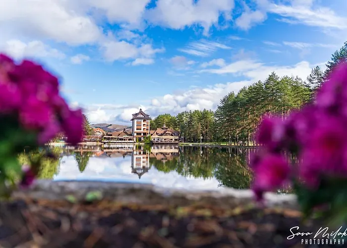 Apartman 65 Zlatibor