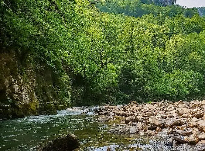 Apartament 65 Zlatibor